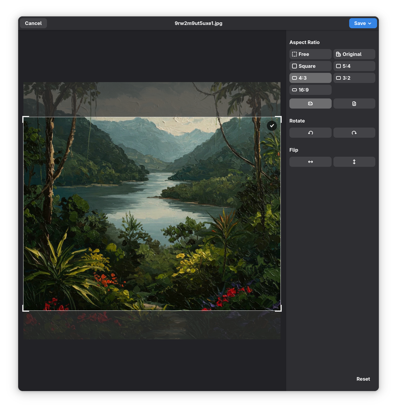 image editing from image viewer in gnome 48